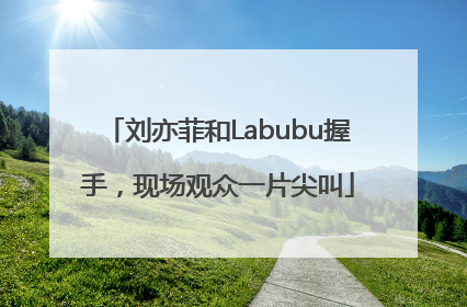 刘亦菲和Labubu握手，现场观众一片尖叫