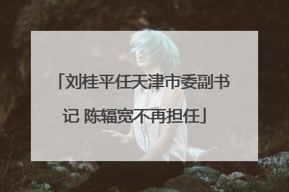 刘桂平任天津市委副书记 陈辐宽不再担任
