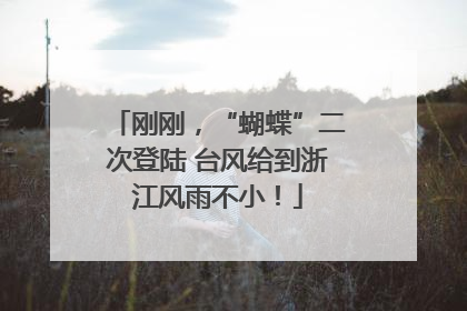 刚刚，“蝴蝶”二次登陆 台风给到浙江风雨不小！