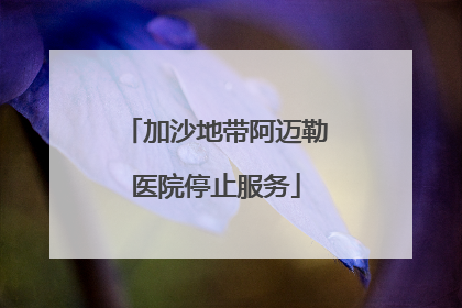加沙地带阿迈勒医院停止服务
