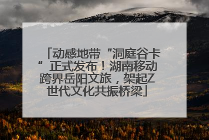 动感地带“洞庭谷卡”正式发布！湖南移动跨界岳阳文旅，架起Z世代文化共振桥梁