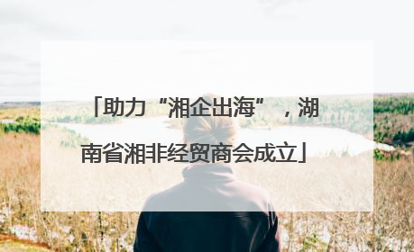 助力“湘企出海”，湖南省湘非经贸商会成立