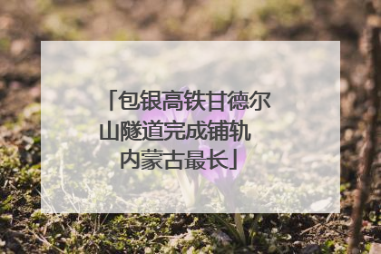包银高铁甘德尔山隧道完成铺轨 内蒙古最长