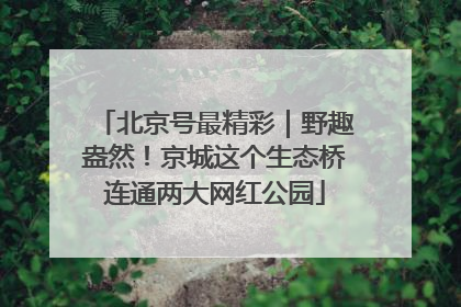 北京号最精彩｜野趣盎然！京城这个生态桥连通两大网红公园