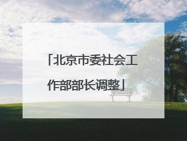 北京市委社会工作部部长调整
