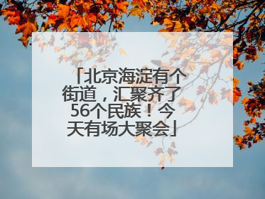 北京海淀有个街道，汇聚齐了56个民族！今天有场大聚会