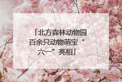 北方森林动物园百余只动物萌宝“六一”亮相