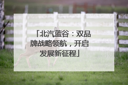 北汽蓝谷：双品牌战略领航，开启发展新征程