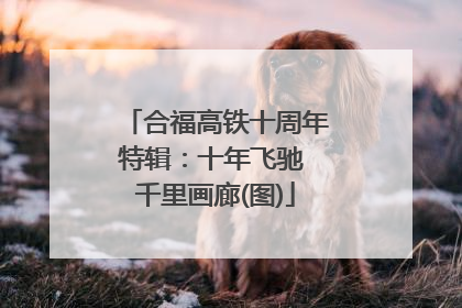 合福高铁十周年特辑：十年飞驰 千里画廊(图)