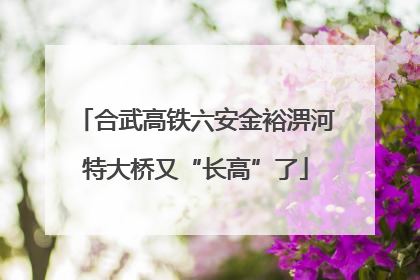 合武高铁六安金裕淠河特大桥又“长高”了