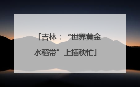 吉林：“世界黄金水稻带”上插秧忙