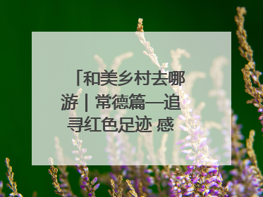 和美乡村去哪游｜常德篇—追寻红色足迹 感受湖湘魅力