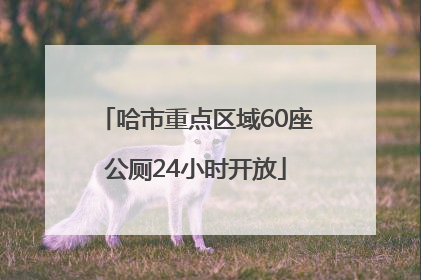 哈市重点区域60座公厕24小时开放