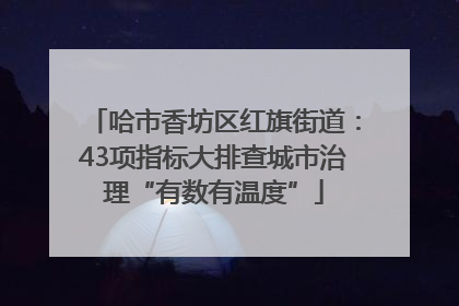哈市香坊区红旗街道：43项指标大排查城市治理“有数有温度”