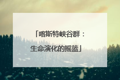 喀斯特峡谷群：生命演化的摇篮