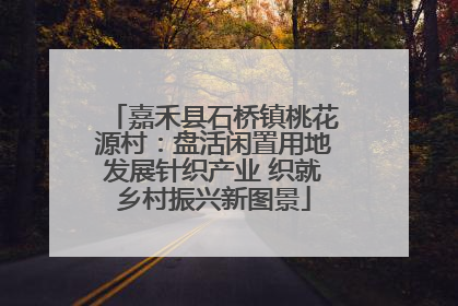 嘉禾县石桥镇桃花源村：盘活闲置用地发展针织产业 织就乡村振兴新图景