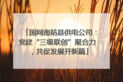 国网南靖县供电公司：党建“三级联创”聚合力，共促发展开新篇