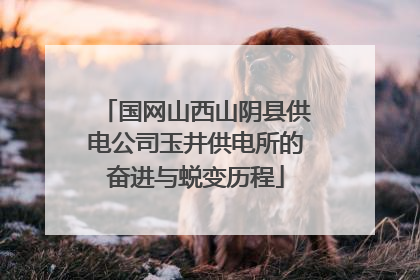 国网山西山阴县供电公司玉井供电所的奋进与蜕变历程