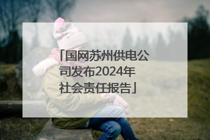 国网苏州供电公司发布2024年社会责任报告