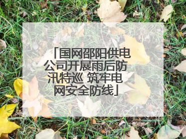 国网邵阳供电公司开展雨后防汛特巡 筑牢电网安全防线