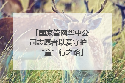 国家管网华中公司志愿者以爱守护“童”行之路