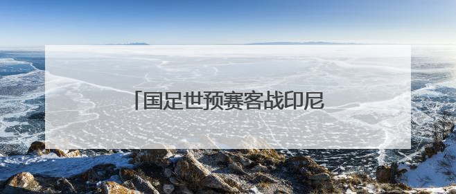 国足世预赛客战印尼25人大名单出炉