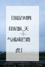 国足对阵印尼队 天气或成拦路虎