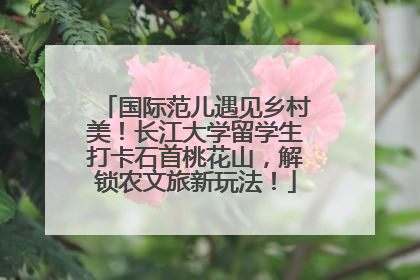 国际范儿遇见乡村美！长江大学留学生打卡石首桃花山，解锁农文旅新玩法！