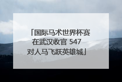 国际马术世界杯赛在武汉收官 547对人马飞跃英雄城