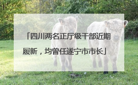 四川两名正厅级干部近期履新，均曾任遂宁市市长