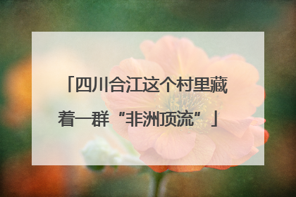 四川合江这个村里藏着一群“非洲顶流”
