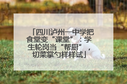 四川泸州一中学把食堂变“课堂”：学生轮岗当“帮厨”，切菜掌勺样样试
