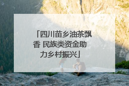 四川苗乡油茶飘香 民族类资金助力乡村振兴