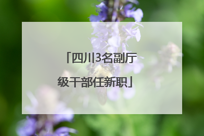 四川3名副厅级干部任新职