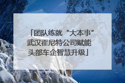团队练就“大本事” 武汉霍尼特公司赋能头部车企智慧升级