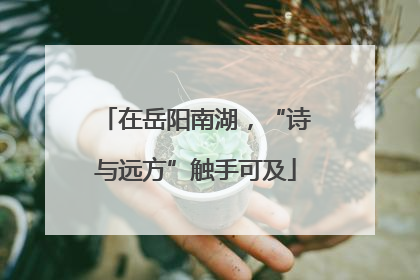 在岳阳南湖，“诗与远方”触手可及