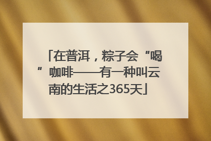 在普洱，粽子会“喝”咖啡——有一种叫云南的生活之365天