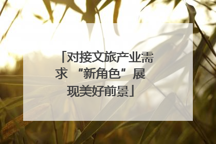 对接文旅产业需求 “新角色”展现美好前景
