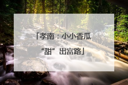 孝南：小小香瓜 “甜”出富路