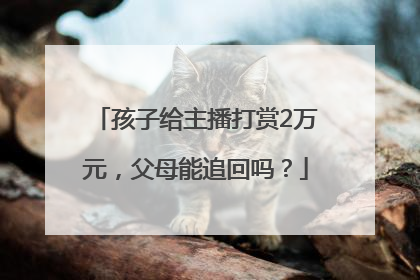 孩子给主播打赏2万元，父母能追回吗？
