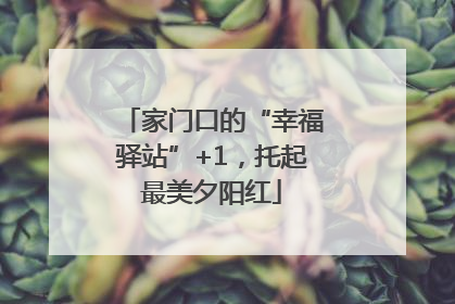 家门口的“幸福驿站”+1，托起最美夕阳红