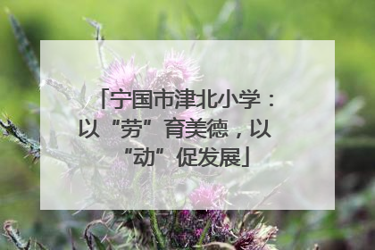 宁国市津北小学：以“劳”育美德，以“动”促发展