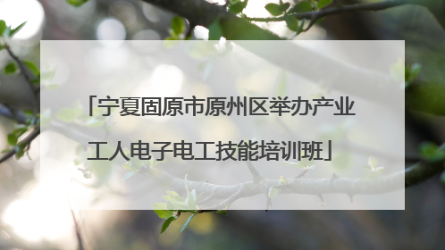 宁夏固原市原州区举办产业工人电子电工技能培训班