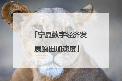 宁夏数字经济发展跑出加速度