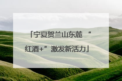 宁夏贺兰山东麓 “红酒+”激发新活力