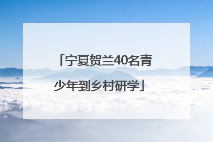 宁夏贺兰40名青少年到乡村研学