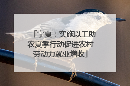 宁夏：实施以工助农夏季行动促进农村劳动力就业增收