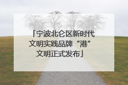 宁波北仑区新时代文明实践品牌“港”文明正式发布