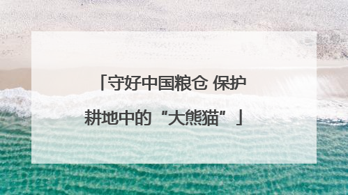 守好中国粮仓 保护耕地中的“大熊猫”