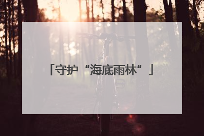 守护“海底雨林”